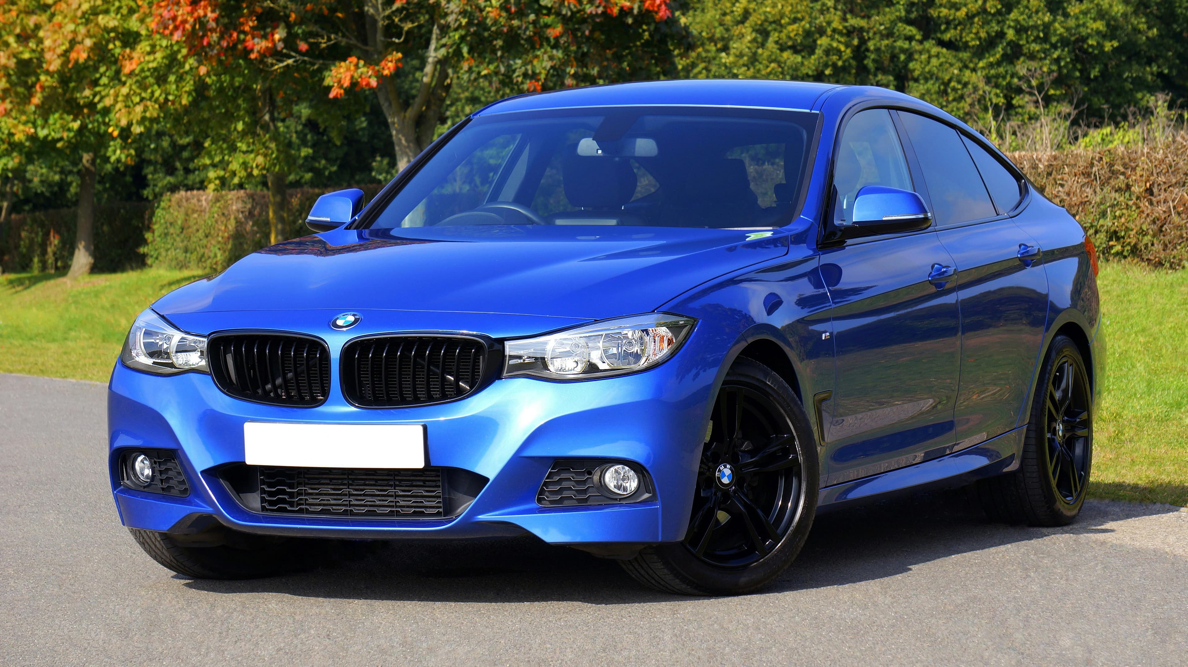 Blue bmw sedan near green lawn grass